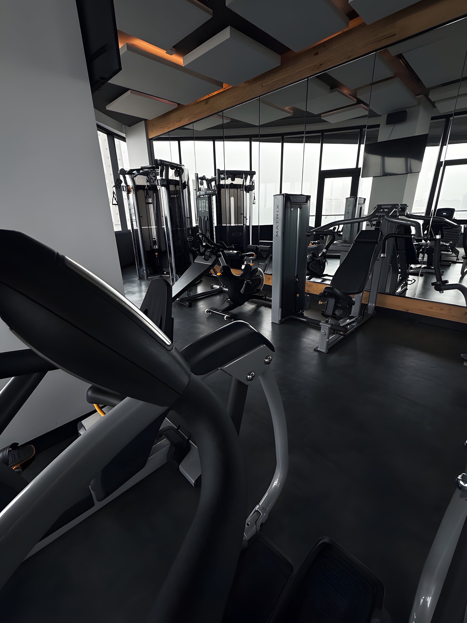 Proyecto Bosque Real - bosquereal15.JPG