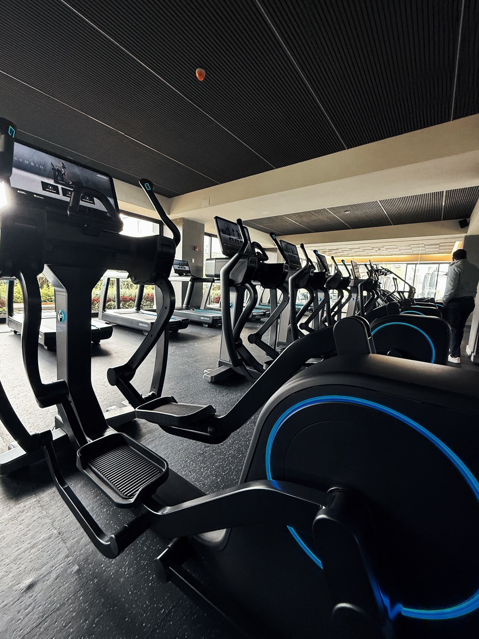 Proyecto Bosques de las Lomas - lomas1.jpeg