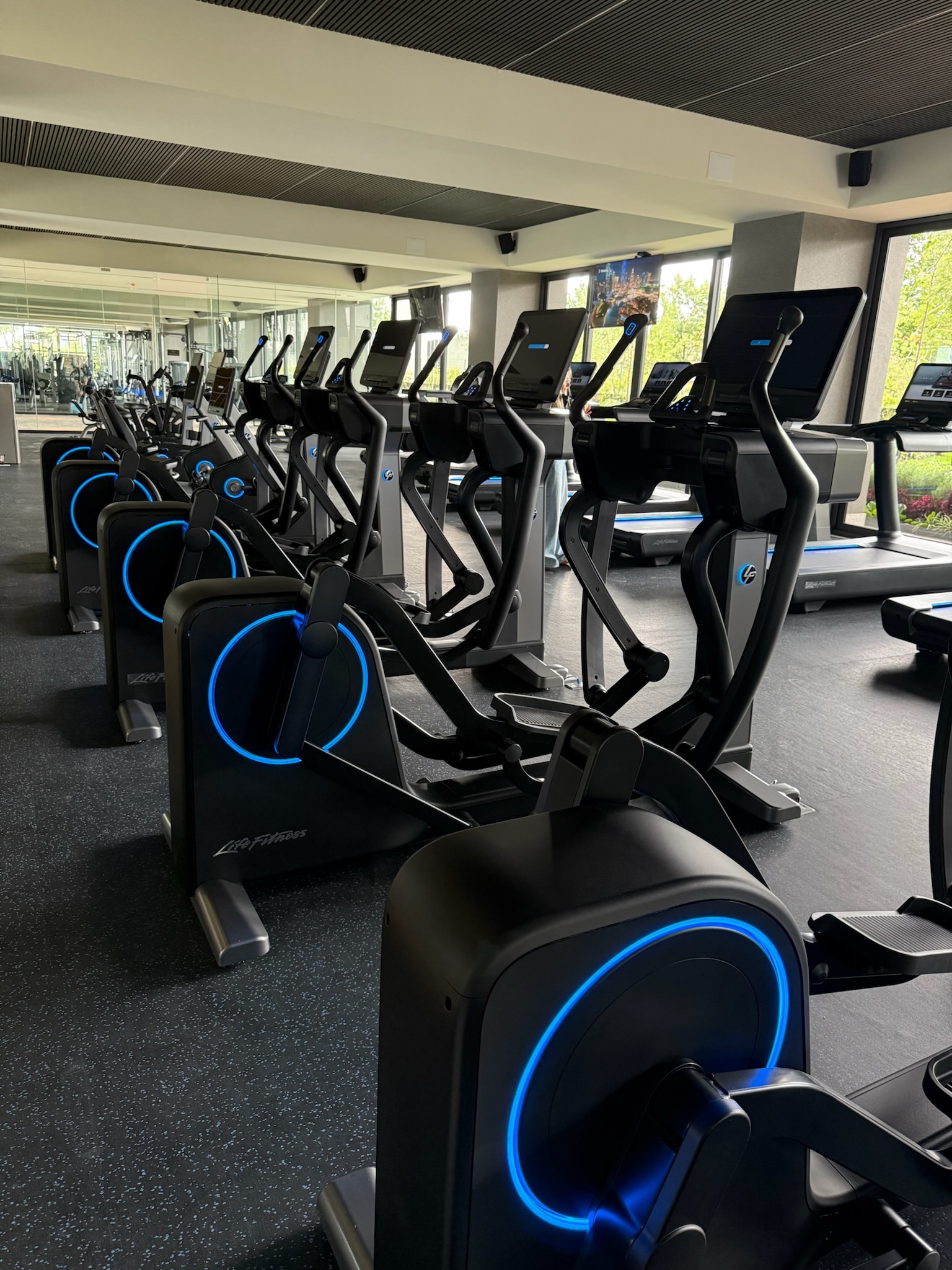 Proyecto Bosques de las Lomas - lomas4.jpeg