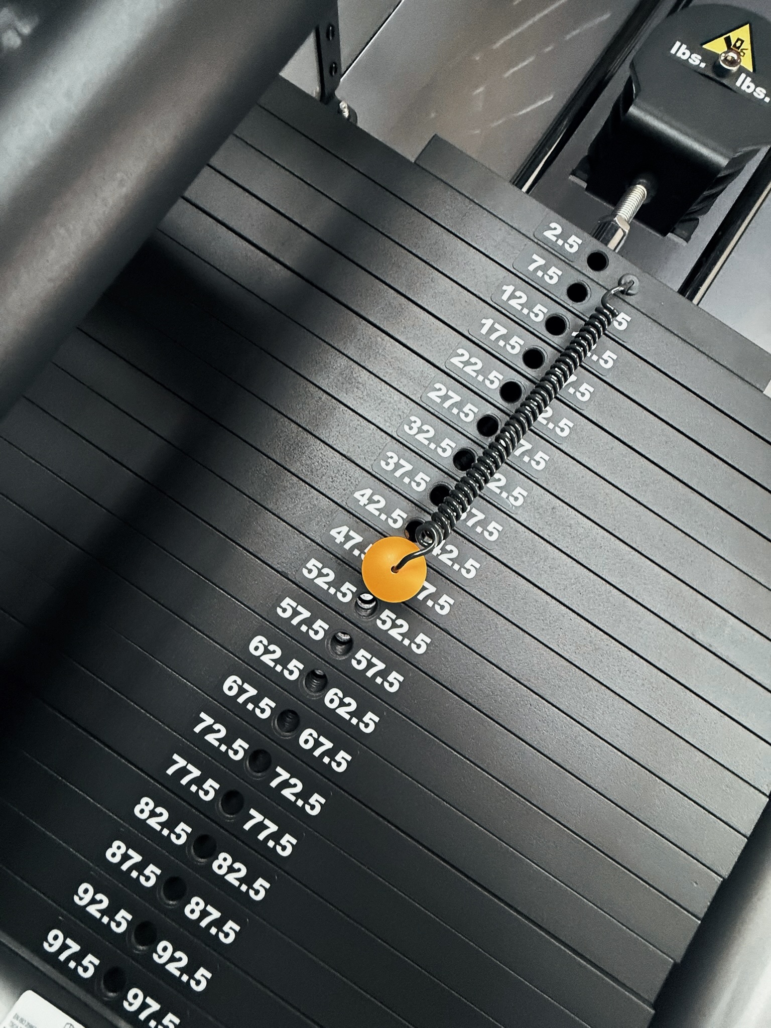 Proyecto Bosques de las Lomas - lomas5.jpeg